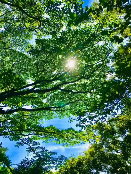 猿田神社の自然