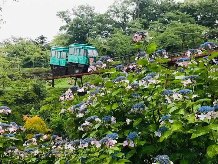 白鳥神社の景色