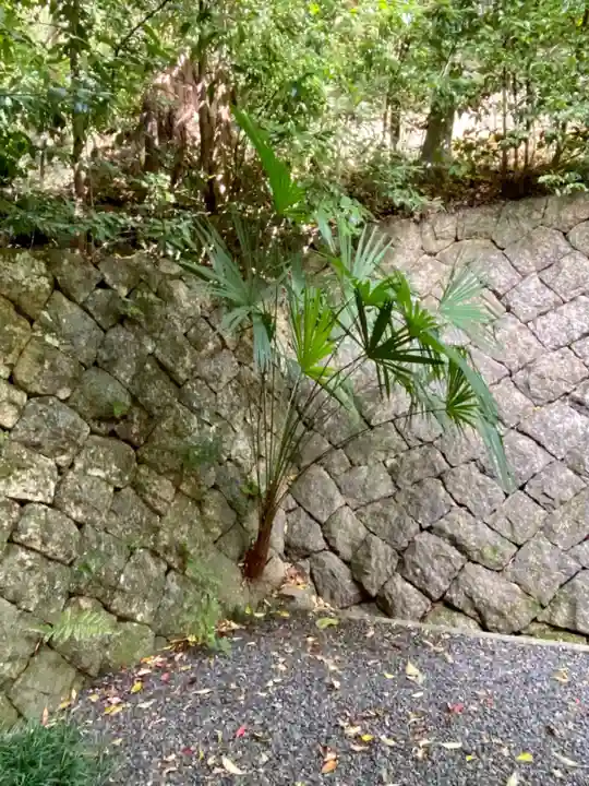 諸羽神社の自然