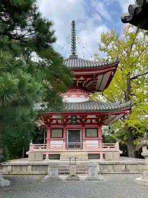 知恩院(京都府)