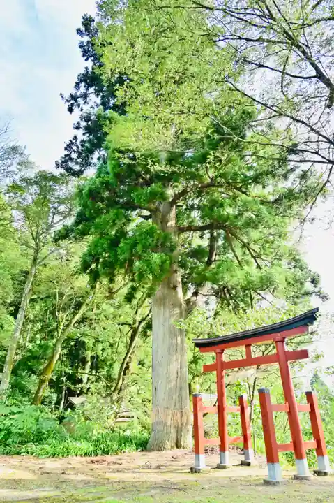 石動神社の自然
