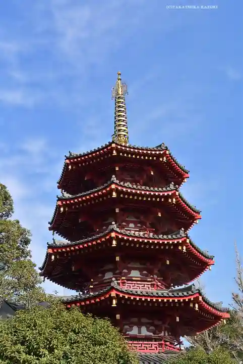川崎大師(平間寺)(神奈川県)