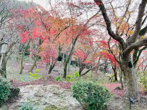 宝満宮竈門神社(福岡県)