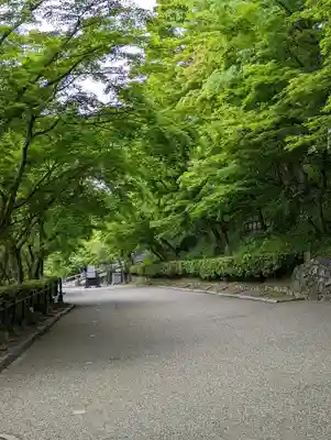 清水寺(京都府)