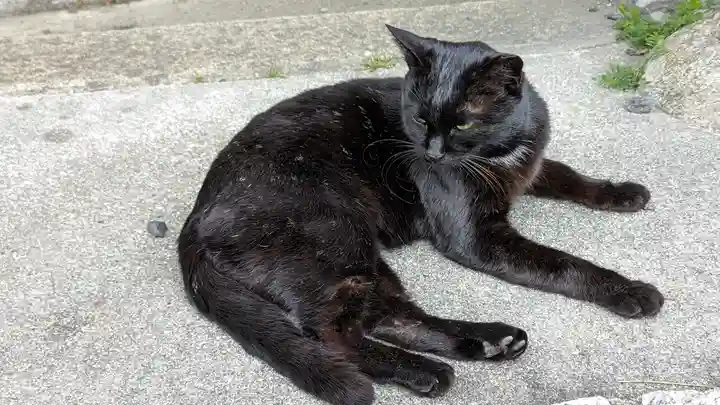 養源院(京都府)