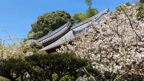 轉法輪寺(京都府)