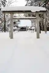 秩父神社の鳥居