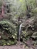 多度大社の自然