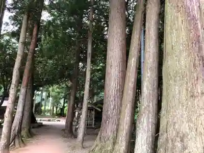 静志神社の自然