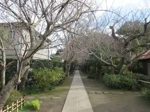 極楽寺（霊鷲山感應院極楽律寺）のその他建物