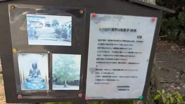 竹蓮寺(滋賀県)