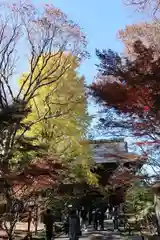 淨眞寺(東京都)