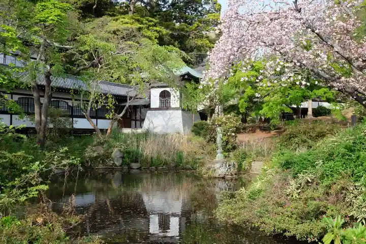 時宗総本山 遊行寺(正式:清浄光寺)(神奈川県)
