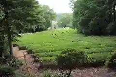 堀口天満天神社の周辺