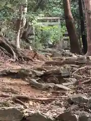 伊射波神社の鳥居