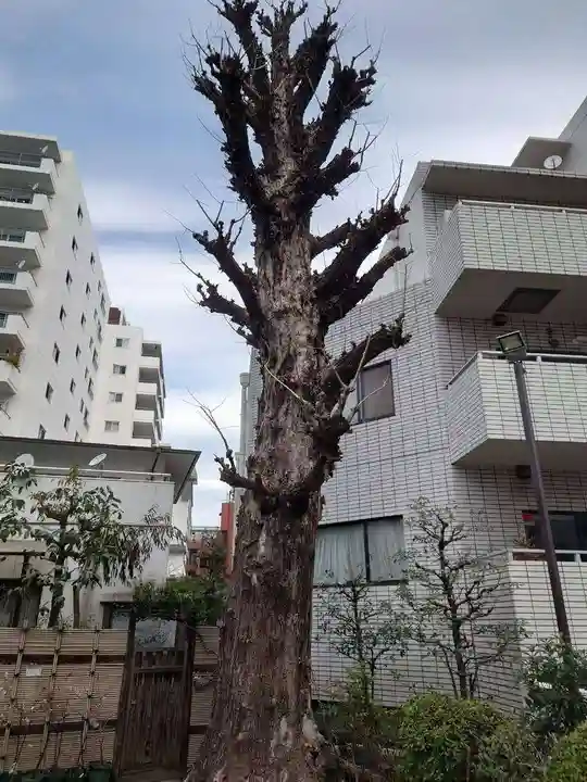 高輪神社(東京都)