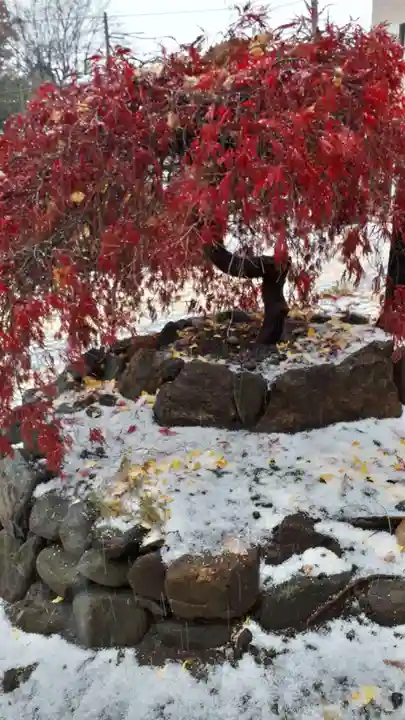星置神社の自然