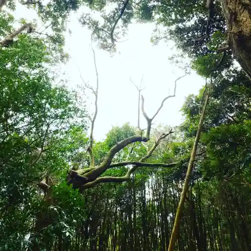 戸隠神社の自然
