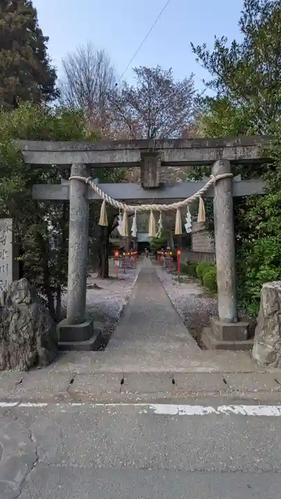 氷川神社の鳥居