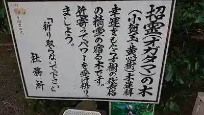 息栖神社の歴史