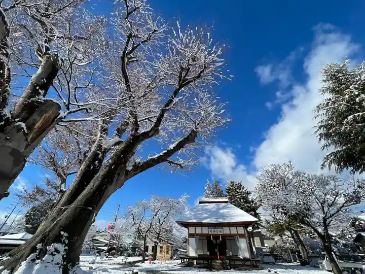 木留神社の自然