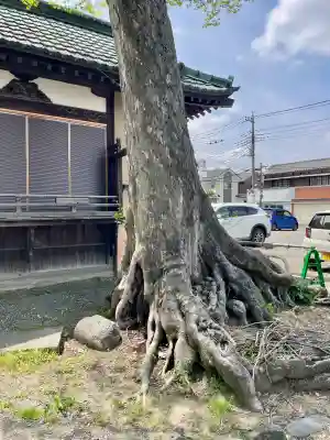 千形神社の{uncategorized: "未分類", other: "その他", undefined: "問題あり", building: "その他建物", grave: "お墓", sacred_gate: "鳥居", guardian: "狛犬", statue: "像", buddha: "仏像", history: "歴史", nature: "自然", garden: "庭園", animal: "動物", pagoda: "塔", temizu: "手水舎", mountain_gate: "山門・神門", sanctuary: "本殿・本堂", subordinate: "末社・摂社", art: "芸術", scenery: "景色", jizo: "地蔵", ema: "絵馬", goshuin: "御朱印", omikuji: "おみくじ", items: "授与品その他", amulet: "お守り", goshuincho: "御朱印帳", eats: "食事", festival: "お祭り", votive_dance: "神楽", shichigosan: "七五三参", wedding: "結婚式", experience: "体験その他", initially: "初詣", around: "周辺", anti_infection: "感染症対策"}