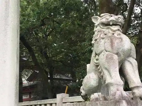 秩父神社の狛犬