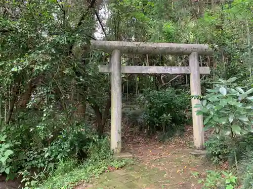 金剛院の鳥居