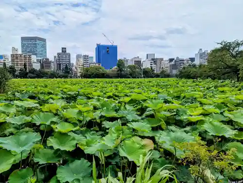 寛永寺不忍池弁天堂(東京都)