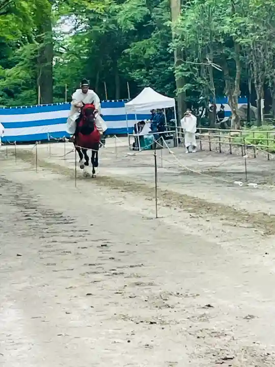 賀茂別雷神社(上賀茂神社)(京都府)