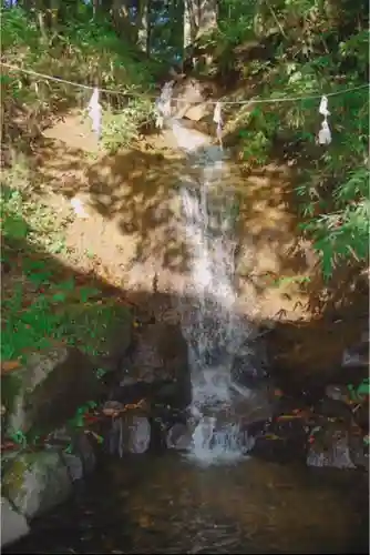 戸隠神社中社の自然
