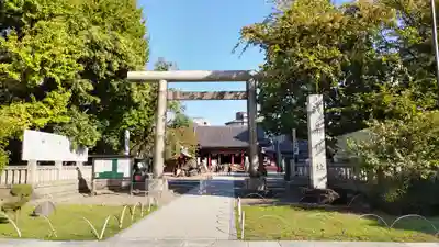 浅草神社の鳥居