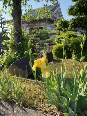 正眼寺(愛知県)