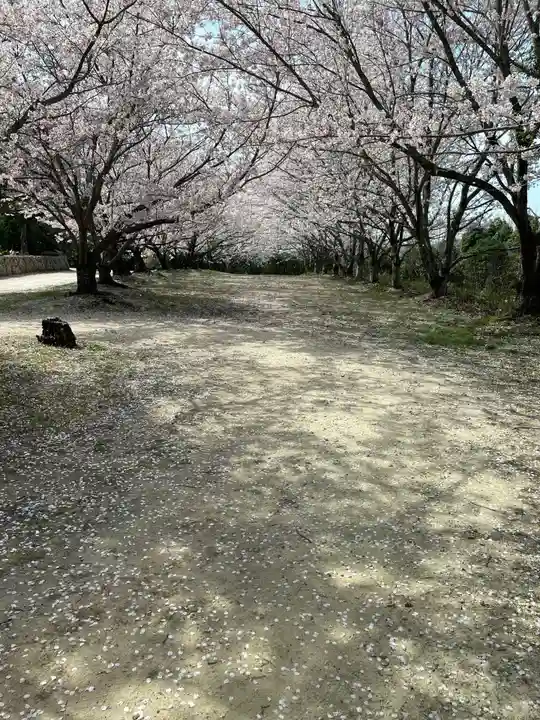 貴船神社の自然