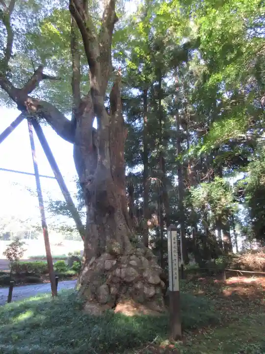 鷲神社(先崎鷲神社)のその他建物