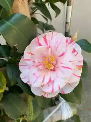 三輪坐恵比須神社(奈良県)