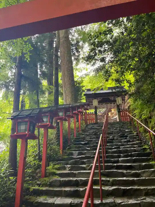 貴船神社の{uncategorized: "未分類", other: "その他", undefined: "問題あり", building: "その他建物", grave: "お墓", sacred_gate: "鳥居", guardian: "狛犬", statue: "像", buddha: "仏像", history: "歴史", nature: "自然", garden: "庭園", animal: "動物", pagoda: "塔", temizu: "手水舎", mountain_gate: "山門・神門", sanctuary: "本殿・本堂", subordinate: "末社・摂社", art: "芸術", scenery: "景色", jizo: "地蔵", ema: "絵馬", goshuin: "御朱印", omikuji: "おみくじ", items: "授与品その他", amulet: "お守り", goshuincho: "御朱印帳", eats: "食事", festival: "お祭り", votive_dance: "神楽", shichigosan: "七五三参", wedding: "結婚式", experience: "体験その他", initially: "初詣", around: "周辺", anti_infection: "感染症対策"}