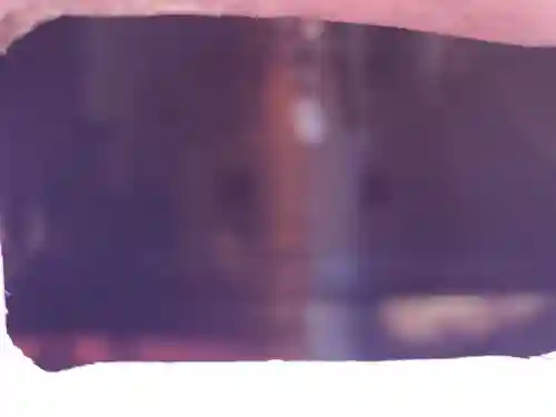 友之郷開運稲荷神社(栃木県)