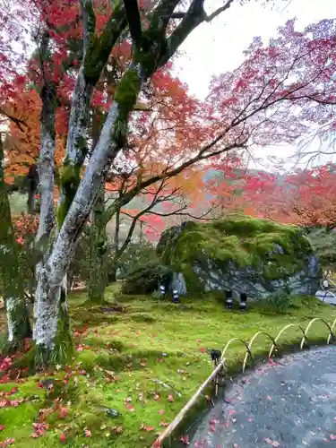 宝厳院(京都府)