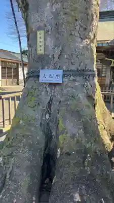 熊野宮(東京都)