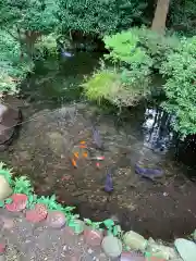 鼬幣稲荷神社(岩手県)