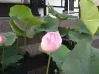 雨竜 専福寺(北海道)