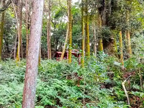 吉五郎稲荷神社の自然