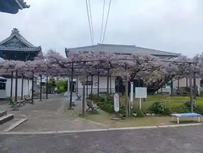 竹鼻別院(岐阜県)