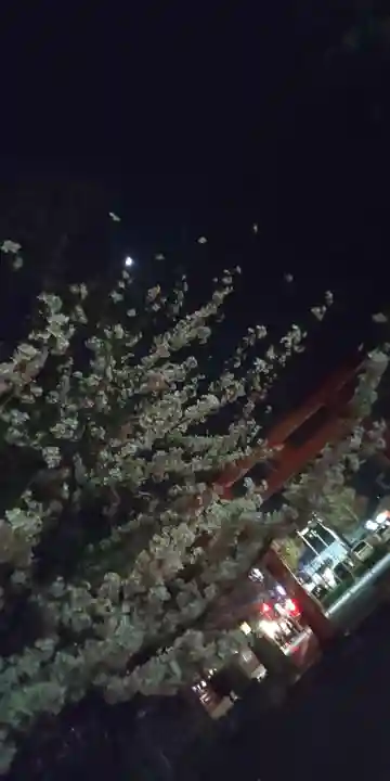 平野神社(京都府)