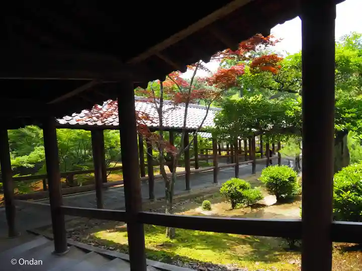 東福禅寺(東福寺)(京都府)