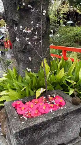 愛宕神社の{uncategorized: "未分類", other: "その他", undefined: "問題あり", building: "その他建物", grave: "お墓", sacred_gate: "鳥居", guardian: "狛犬", statue: "像", buddha: "仏像", history: "歴史", nature: "自然", garden: "庭園", animal: "動物", pagoda: "塔", temizu: "手水舎", mountain_gate: "山門・神門", sanctuary: "本殿・本堂", subordinate: "末社・摂社", art: "芸術", scenery: "景色", jizo: "地蔵", ema: "絵馬", goshuin: "御朱印", omikuji: "おみくじ", items: "授与品その他", amulet: "お守り", goshuincho: "御朱印帳", eats: "食事", festival: "お祭り", votive_dance: "神楽", shichigosan: "七五三参", wedding: "結婚式", experience: "体験その他", initially: "初詣", around: "周辺", anti_infection: "感染症対策"}