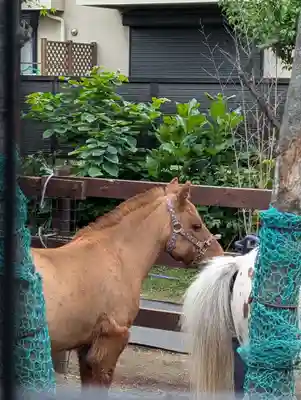 五方山熊野神社(東京都)