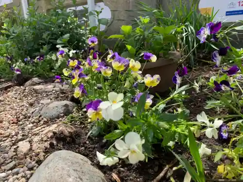 三輪神社の自然