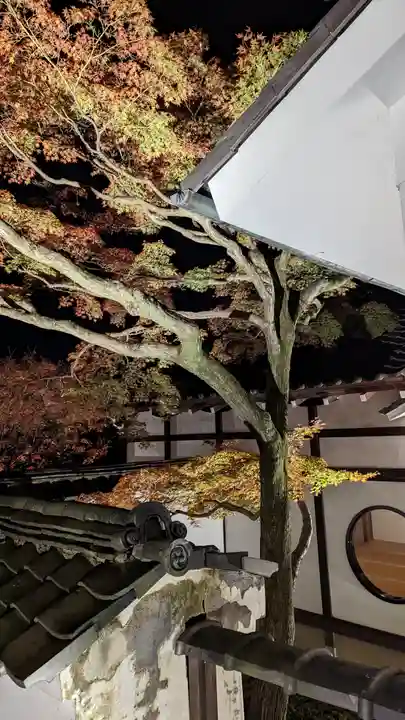 妙覺寺(妙覚寺)(京都府)